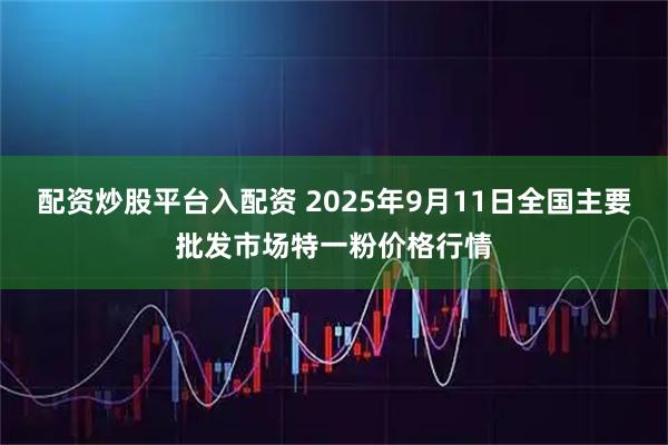 配资炒股平台入配资 2025年9月11日全国主要批发市场特一粉价格行情