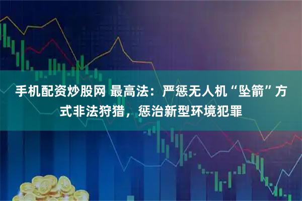 手机配资炒股网 最高法：严惩无人机“坠箭”方式非法狩猎，惩治新型环境犯罪